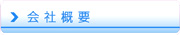 ЊTv